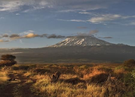 Elerai Camp Hotel Amboseli Eksteriør billede