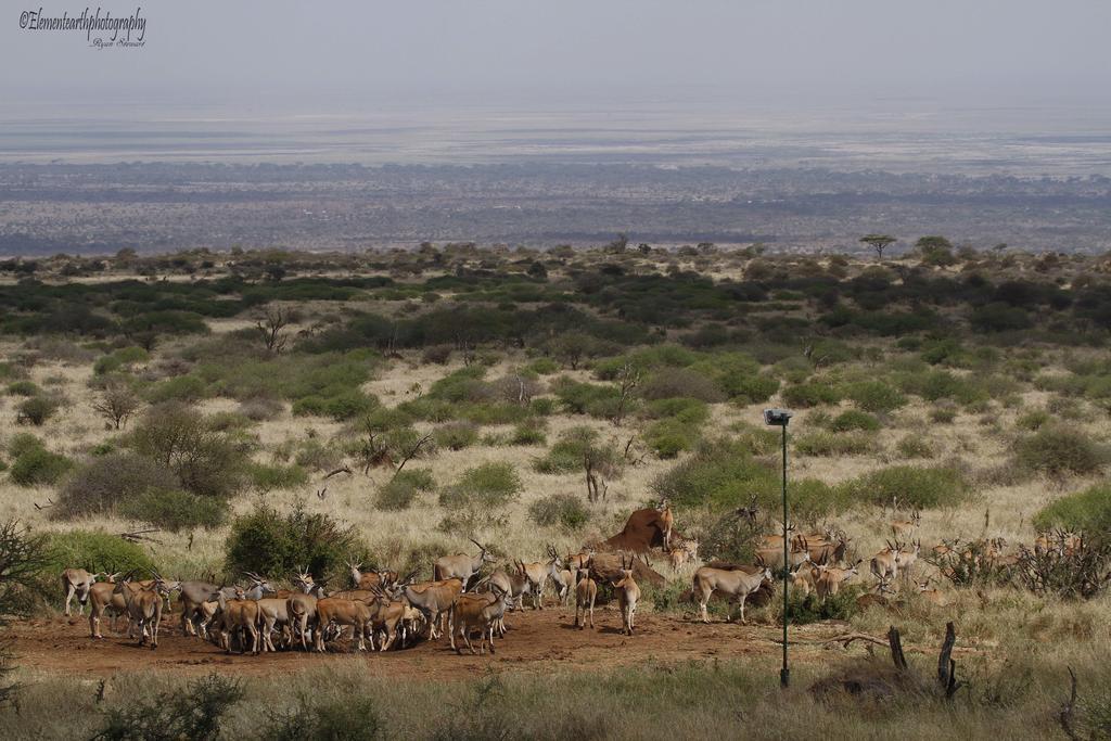 Elerai Camp Hotel Amboseli Eksteriør billede