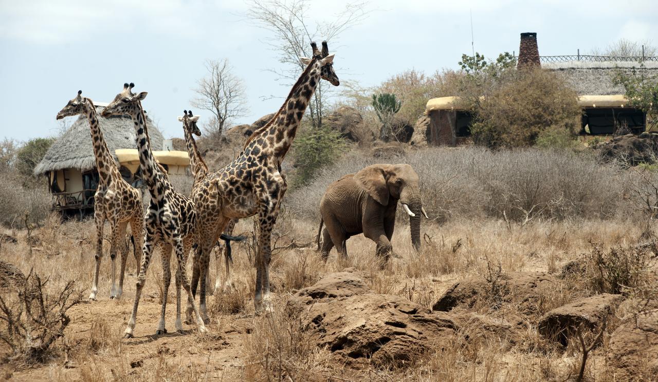 Elerai Camp Hotel Amboseli Eksteriør billede