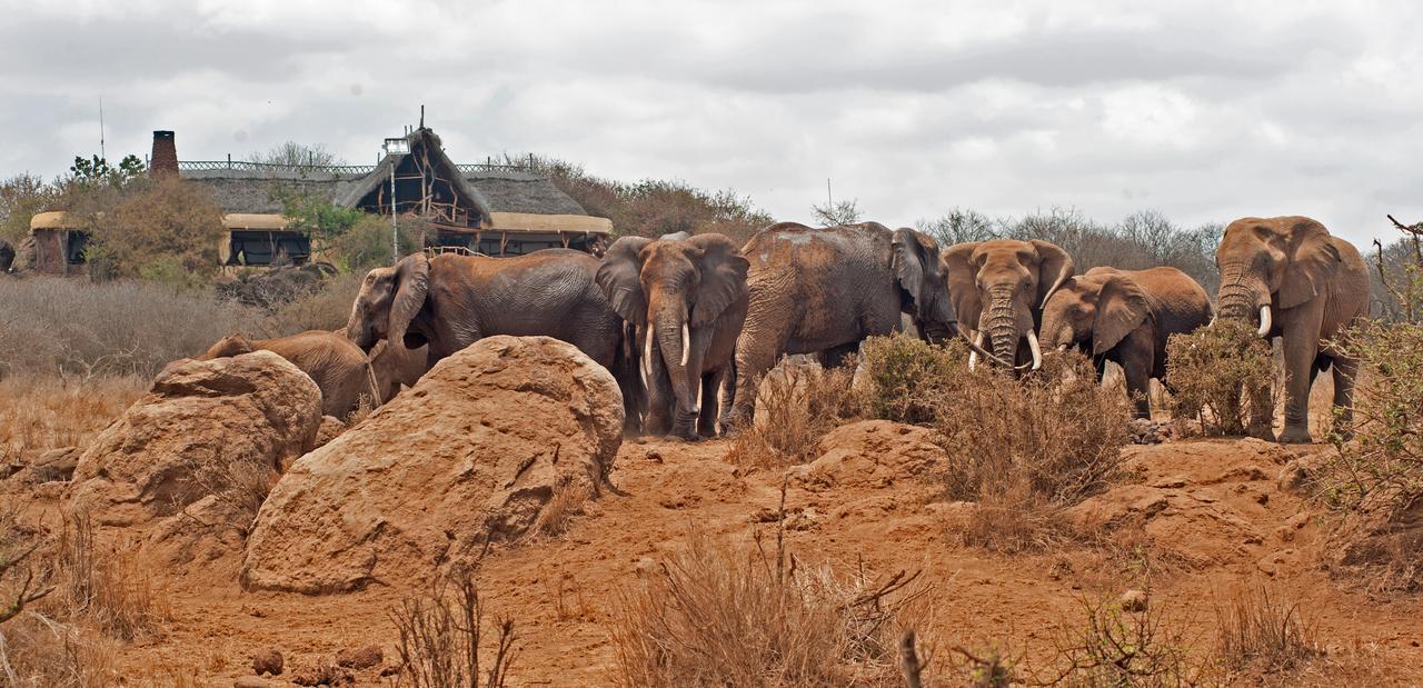 Elerai Camp Hotel Amboseli Eksteriør billede