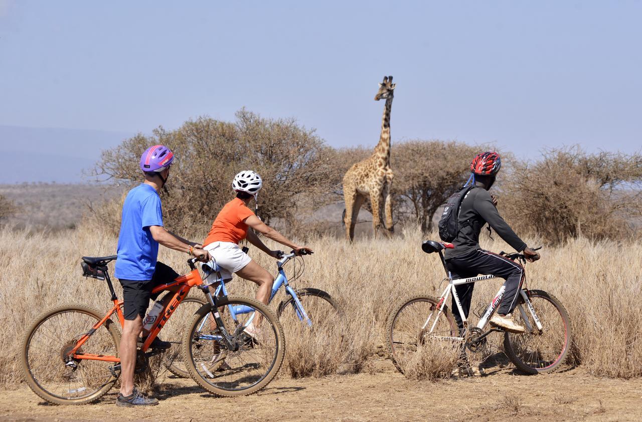 Elerai Camp Hotel Amboseli Eksteriør billede